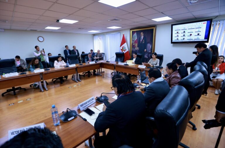 Lee más sobre el artículo La Comisión de Energía y Minas rechazó dictamen sobre la LEY MAPE